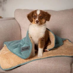 Scruffs Cosy Blanket -Honden Benodigdheden Winkel scruffs cosy blanket 221482 1000 none