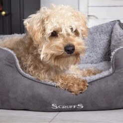 Scruffs Cosy Box Bed -Honden Benodigdheden Winkel scruffs cosy box bed 209483 1000 none