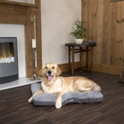 Boneguard Rawhide Bones 29 Boneguard Rawhide Bones -Honden Benodigdheden Winkel scruffs cosy mattress 209366 1500 none