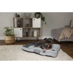 Scruffs Highland Matras -Honden Benodigdheden Winkel scruffs highland matras 197465 0500 none