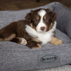 Scruffs Manhattan Box Bed -Honden Benodigdheden Winkel scruffs manhattan box bed 209513 1500 none 1