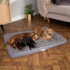 Scruffs Wilton Mattress 9 Scruffs Wilton Mattress -Honden Benodigdheden Winkel scruffs wilton mattress 209681 1000 none