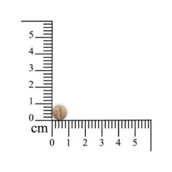 Sensipharm Gastro Entero Comfort -Honden Benodigdheden Winkel sensipharm gastro entero comfort 174637 1000 none