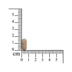 Sensipharm Inconti Stop Hond -Honden Benodigdheden Winkel sensipharm inconti stop hond 174532 1000 none