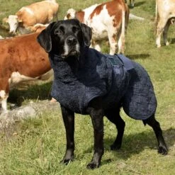 Siccaro WetDog SupremePro 2.0 -Honden Benodigdheden Winkel siccaro wetdog supremepro 190159 1000 none