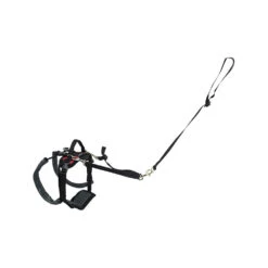 PetSafe Carelift - Draagsysteem Voor De Hond -Honden Benodigdheden Winkel solvit carelift achterhand small rood 100073 1000 none