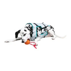 Suitical DRY Cooling Vest -Honden Benodigdheden Winkel suitical dry cooling vest 149882 2000 none