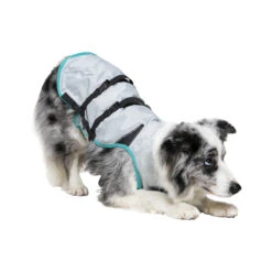 Suitical DRY Cooling Vest -Honden Benodigdheden Winkel suitical dry cooling vest 149888 2000 none