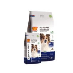 Biofood BF®Petfood Lam & Rijst -Honden Benodigdheden Winkel t61SNTYTyka4mRzK3GK47l3CFtZVoH metaYmZwZXRmb29kX2xhbV9yaWpzdF9vdmVyemljaHQuanBn