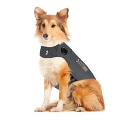 Thundershirt Hond -Honden Benodigdheden Winkel thundershirt hond 215942 2000 none