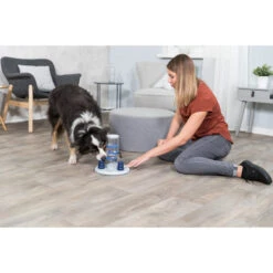 Trixie Dog Activity Gambling Tower 15 Trixie Dog Activity Gambling Tower -Honden Benodigdheden Winkel trixie dog activity gambling tower 179852 2000 none