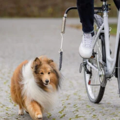 Trixie Fiets-Set U-Vorm -Honden Benodigdheden Winkel trixie fiets set u vorm 186019 1000 none