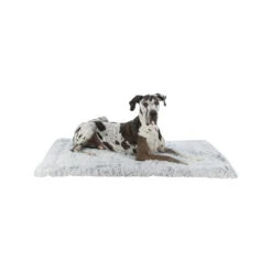 Trixie Ligmat Harvey -Honden Benodigdheden Winkel trixie ligmat harvey 216095 2000 none