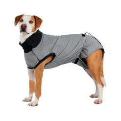 Trixie Operatie Hondenjas 20 Trixie Operatie Hondenjas -Honden Benodigdheden Winkel trixie operatie hondenjas 95186 0500 none