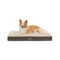 Trixie Vitaal Matras Bendson - Donkerbruin/Beige -Honden Benodigdheden Winkel trixie vitaal matras bendson donkerbruinbeige 178696 1000 none