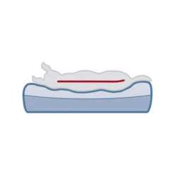 Trixie Vitaal Matras Bendson - Donkerbruin/Beige -Honden Benodigdheden Winkel trixie vitaal matras bendson donkerbruinbeige 178699 1000 none