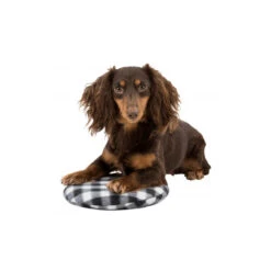 Trixie Warmtekussen -Honden Benodigdheden Winkel trixie warmtekussen 145868 1000 none