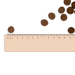 Vetality Gastrointestinal Low Fat - Hondenvoer -Honden Benodigdheden Winkel vetality gastrointestinal low fat hondenvoer 182350 2000 none