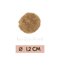 Vetality Gastrointestinal Low Fat - Hondenvoer -Honden Benodigdheden Winkel vetality gastrointestinal low fat hondenvoer 195467 1000 none