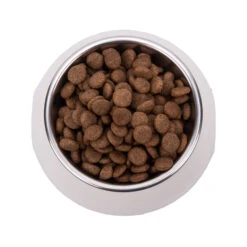 Vetality Hypoallergenic - Hondenvoer -Honden Benodigdheden Winkel vetality hypoallergenic hondenvoer 182065 2000 none