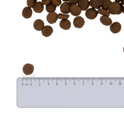 Vetality Hypoallergenic - Hondenvoer -Honden Benodigdheden Winkel vetality hypoallergenic hondenvoer 182338 2000 none