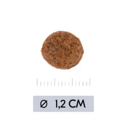 Vetality Hypoallergenic - Hondenvoer -Honden Benodigdheden Winkel vetality hypoallergenic hondenvoer 195473 1000 none