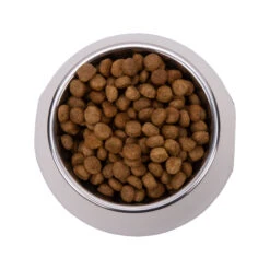 Vetality Metabolic & Mobility - Hondenvoer -Honden Benodigdheden Winkel vetality metabolic mobility hondenvoer 182062 2000 none