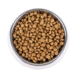 Vetality Metabolic & Mobility - Hondenvoer -Honden Benodigdheden Winkel vetality metabolic mobility hondenvoer 195275 1000 none