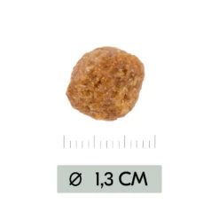 Vetality Metabolic & Mobility - Hondenvoer -Honden Benodigdheden Winkel vetality metabolic mobility hondenvoer 195470 1000 none