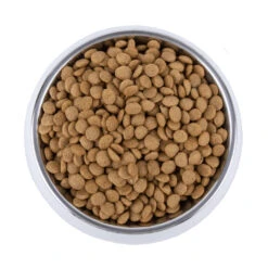 Vetality Skin Support - Hondenvoer 13 Vetality Skin Support - Hondenvoer -Honden Benodigdheden Winkel vetality skin support hondenvoer 195221 1000 none