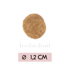 Vetality Skin Support - Hondenvoer 12 Vetality Skin Support - Hondenvoer -Honden Benodigdheden Winkel vetality skin support hondenvoer 195452 1000 none