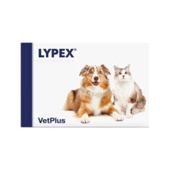Vetplus Lypex -Honden Benodigdheden Winkel vetplus lypex 212381 0500 none