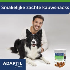 Adaptil Chews -Honden Benodigdheden Winkel vg0u6YTPlPv6FZIK08ZJynEt1Ld6cA metaQWRhcHRpbC1DaGV3LUNhcm91c3NlbC03LmpwZw