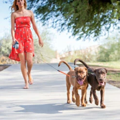 Wigzi Dual Doggie 2.0 -Honden Benodigdheden Winkel wigzi dual doggie 20 167836 1500 none