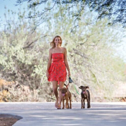 Wigzi Dual Doggie 2.0 -Honden Benodigdheden Winkel wigzi dual doggie 20 167839 1500 none