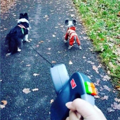 Wigzie Dual Doggie 3.0 -Honden Benodigdheden Winkel wigzi dual doggie 30 167845 0500 none