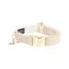 Kentucky Dogwear Hondenhalsband Wool