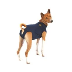 Medical Pet Shirt Hond -Honden Benodigdheden Winkel xPuDXIGJ8BUF7KNct4dTau2Ls058PG metaYzY5MjU1OWNiMjdkMjQ4YTBkODUyNGFkZWQ4MzM5NDgzZjhkNDFmOGJkN2ZmMmU1MzNjZmYwODUxN2VhNDUxYV8zLmpwZWc