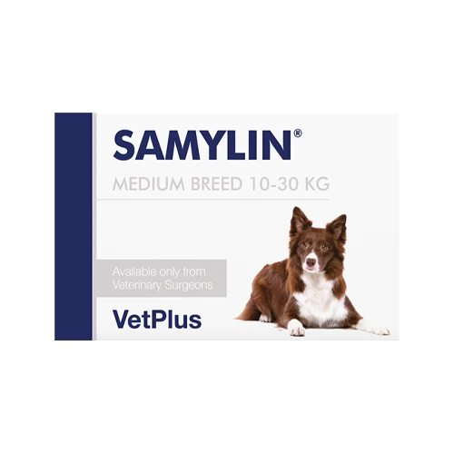 Vetplus Samylin - Tabletten 2 Vetplus Samylin - Tabletten - Afbeelding 2