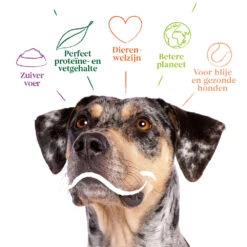 Yarrah - Bio Droogvoer Hond Vega Graanvrij -Honden Benodigdheden Winkel yarrah bio droogvoer hond vega graanvrij 201212 1000 none