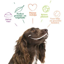 Yarrah - Bio Natvoer Hond Kuipje Chunks Vega 11 Yarrah - Bio Natvoer Hond Kuipje Chunks Vega -Honden Benodigdheden Winkel yarrah bio natvoer hond kuipje chunks vega 200843 1000 none