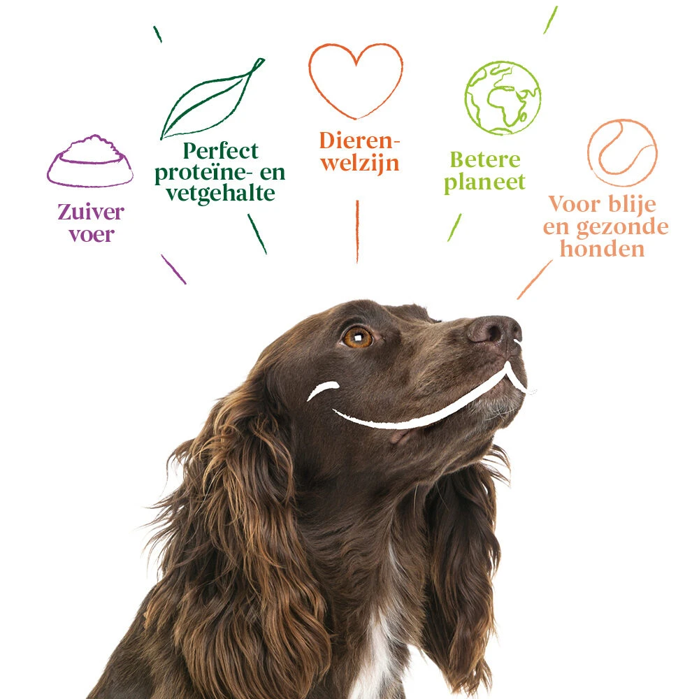 Yarrah - Bio Natvoer Hond Kuipje Chunks Vega 6 Yarrah - Bio Natvoer Hond Kuipje Chunks Vega - Afbeelding 6