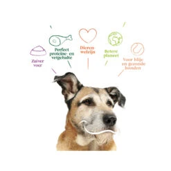 Yarrah - Droogvoer Hond Senior Bio -Honden Benodigdheden Winkel yarrah droogvoer hond senior bio 201146 1000 none