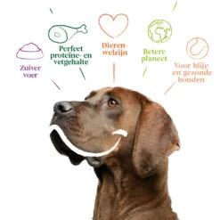 Yarrah - Droogvoer Hond Sensitive Bio -Honden Benodigdheden Winkel yarrah droogvoer hond sensitive bio 199148 1000 none