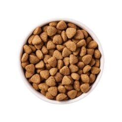 Yarrah - Droogvoer Hond Vega Bio -Honden Benodigdheden Winkel yarrah droogvoer hond vega bio 188403 1000 none