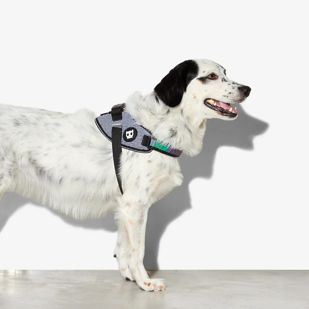 Zee.Dog FlyHarness Hondentuigje 10 Zee.Dog FlyHarness Hondentuigje - Afbeelding 10