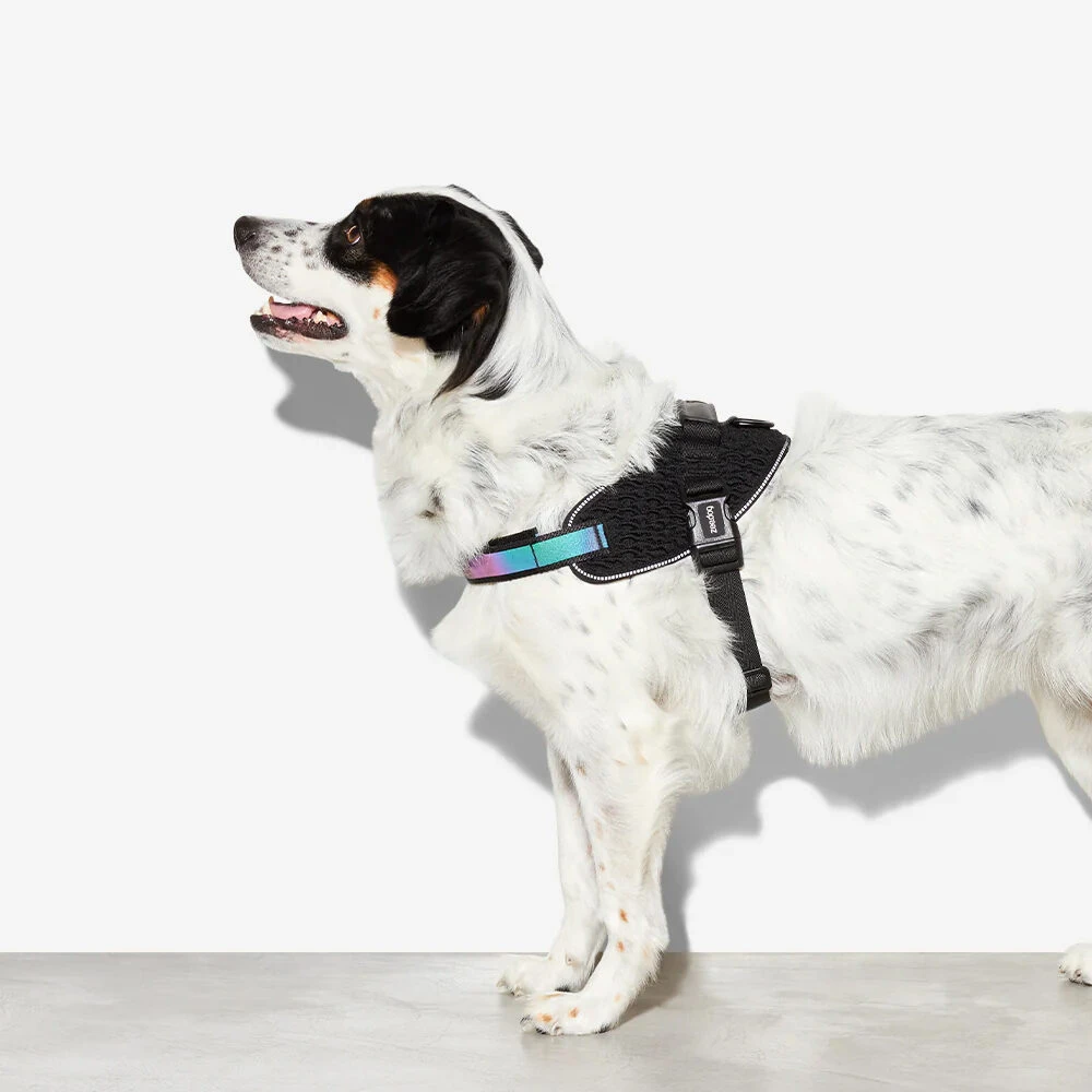 Zee.Dog FlyHarness Hondentuigje 13 Zee.Dog FlyHarness Hondentuigje - Afbeelding 13