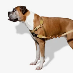 Zee.Dog Soft Walk Harness -Honden Benodigdheden Winkel zeedog soft walk harness 200678 1000 none