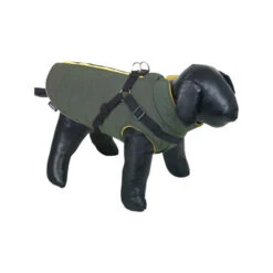 Nobby Hondenjas Sobak -Honden Benodigdheden Winkel zfANZ9X8QmVKtjtz2X3OCjSc3mM0kN metabm9iYnlfaG9uZGVuamFzX3NvYmFrXzIxNjkxOF8wNTAwX25vbmUuanBn