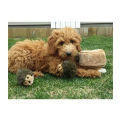 ZippyPaws Zippy Burrow Hedgehog Den -Honden Benodigdheden Winkel zippypaws zippy burrow hedgehog den 221069 0500 none